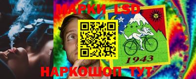 mdpv Владивосток