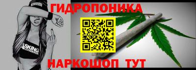 mdpv Владивосток