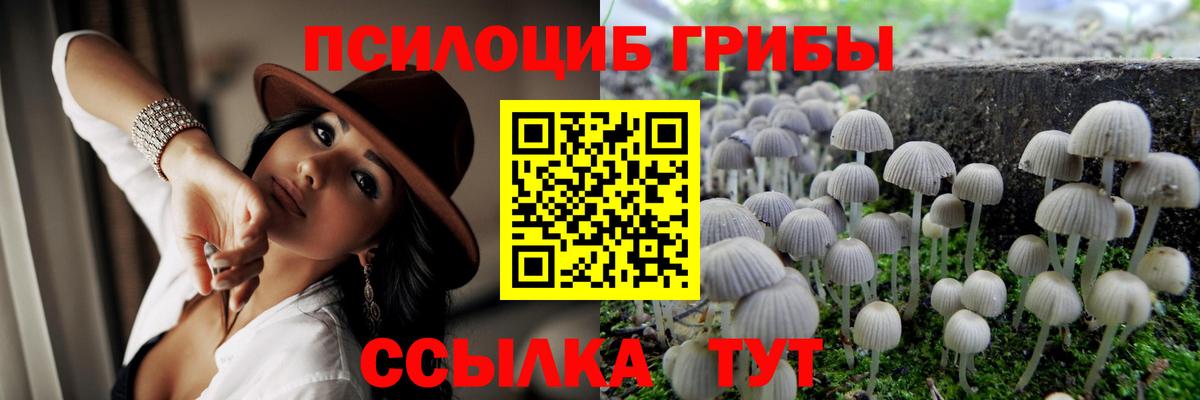Галлюциногенные грибы мицелий  Вход с VPN  Богородицк 