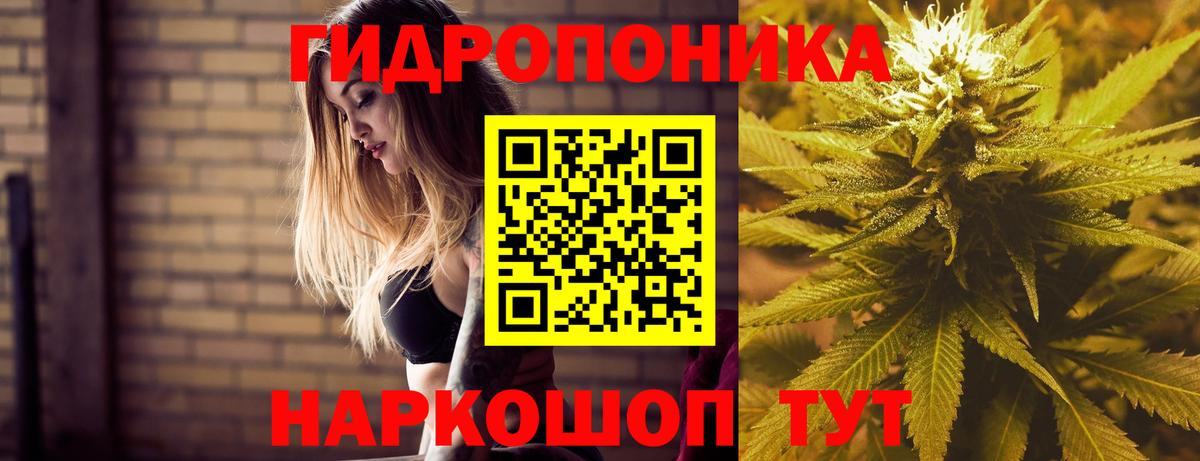Шишки марихуана Bruce Banner Богородицк